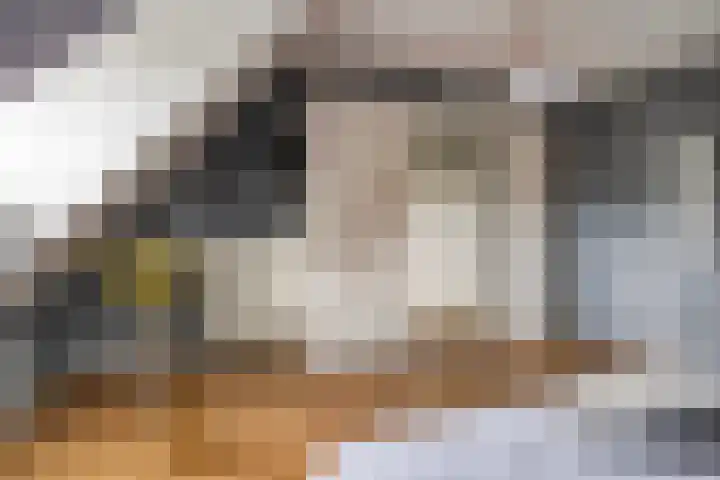 Drieseegt 1 Erp thumbnail 33