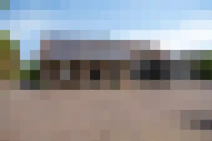 Drieseegt 1 Erp thumbnail 4