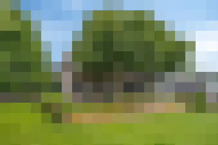 Drieseegt 1 Erp thumbnail 43