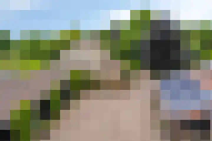 Drieseegt 1 Erp thumbnail 44