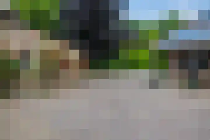 Drieseegt 1 Erp thumbnail 47
