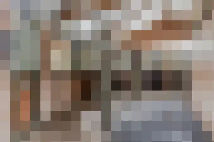 Drieseegt 1 Erp thumbnail 49