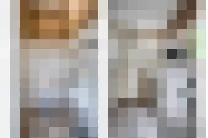 Drieseegt 1 Erp thumbnail 54