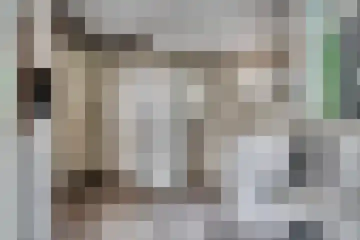 Drieseegt 1 Erp thumbnail 55
