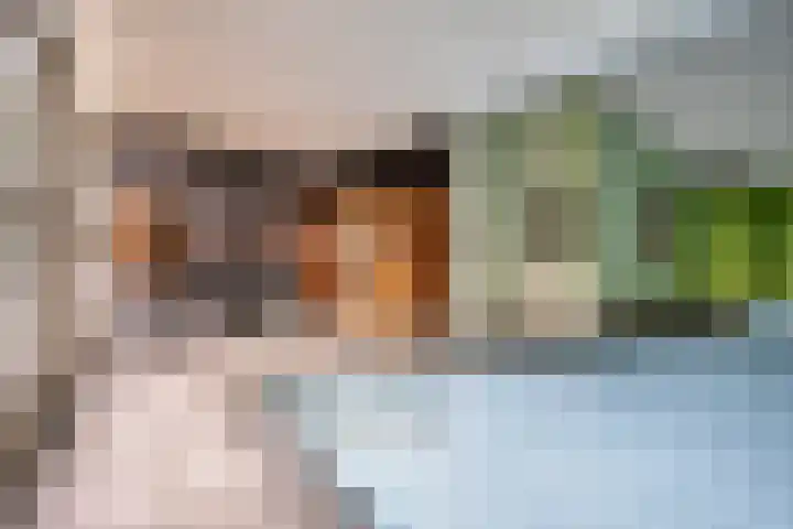 Drieseegt 1 Erp thumbnail 56