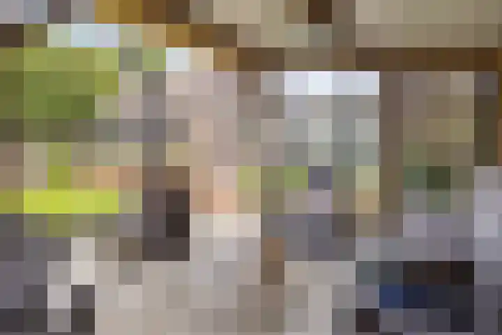 Drieseegt 1 Erp thumbnail 59