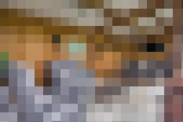 Drieseegt 1 Erp thumbnail 60