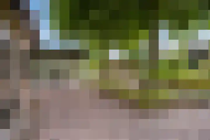 Drieseegt 1 Erp thumbnail 61