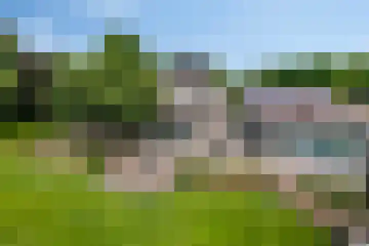 Drieseegt 1 Erp thumbnail 63