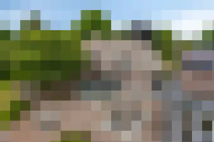 Drieseegt 1 Erp thumbnail 66