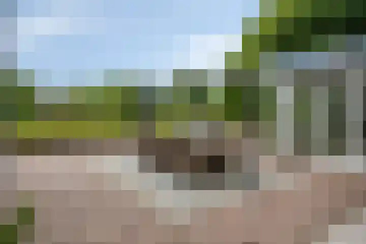 Drieseegt 1 Erp thumbnail 67