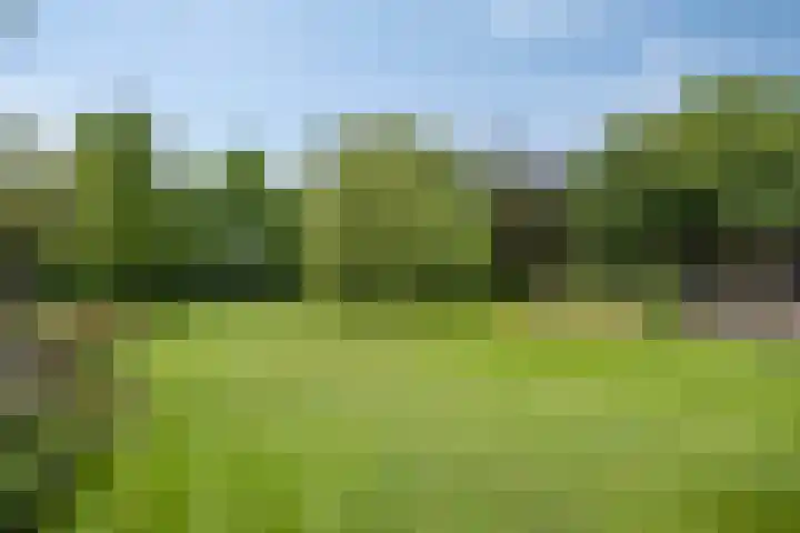 Drieseegt 1 Erp thumbnail 69