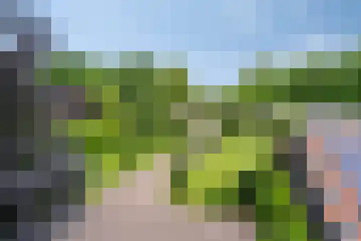 Drieseegt 1 Erp thumbnail 7