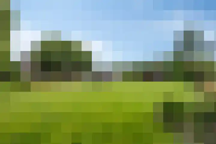 Drieseegt 1 Erp thumbnail 70