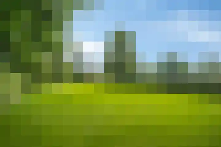 Drieseegt 1 Erp thumbnail 73