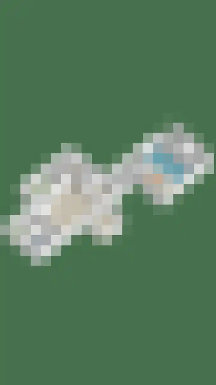 Drieseegt 1 Erp thumbnail 78