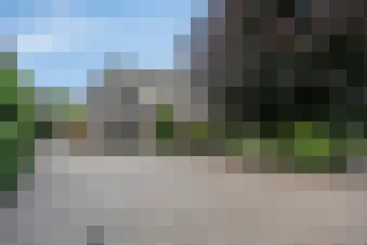 Drieseegt 1 Erp thumbnail 90