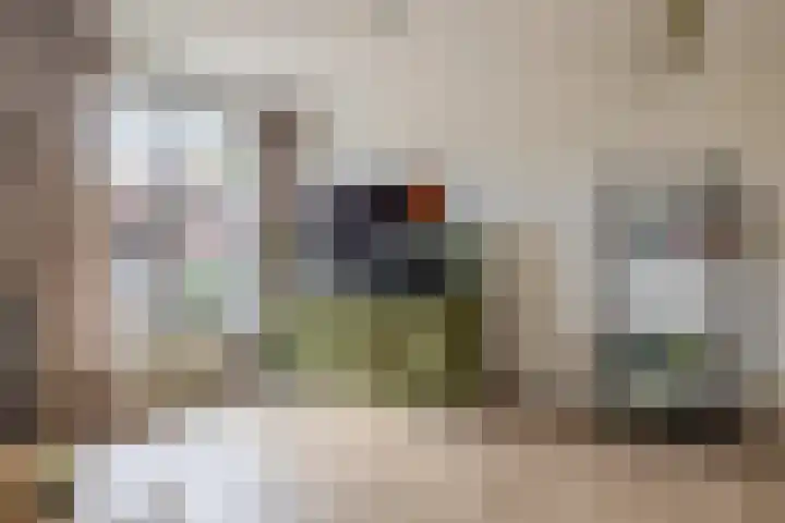 Drieske 19 Eersel thumbnail 10