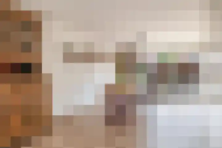 Drieske 19 Eersel thumbnail 11
