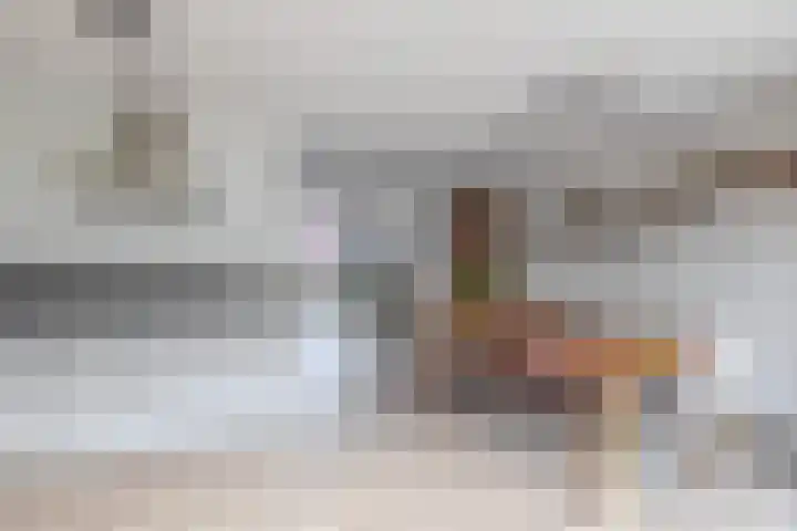 Drieske 19 Eersel thumbnail 13