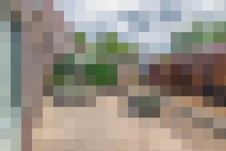 Drieske 19 Eersel thumbnail 28