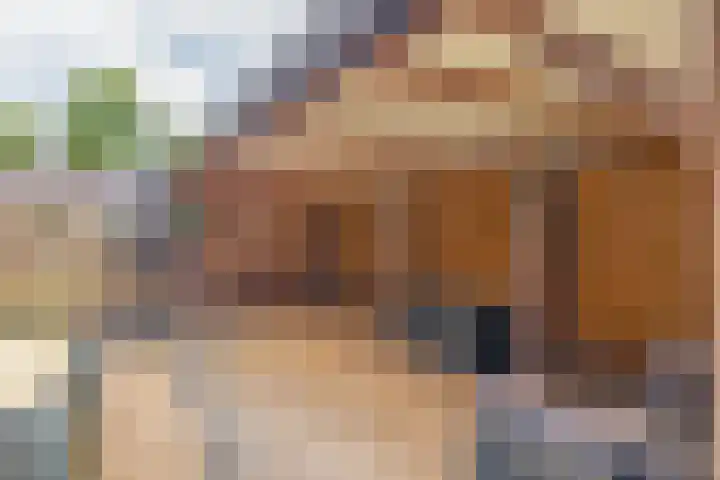 Drieske 19 Eersel thumbnail 31