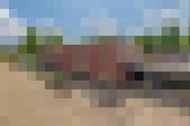 Drieske 19 Eersel thumbnail 35