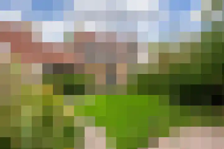Drieskensacker 1054 Nijmegen thumbnail 15