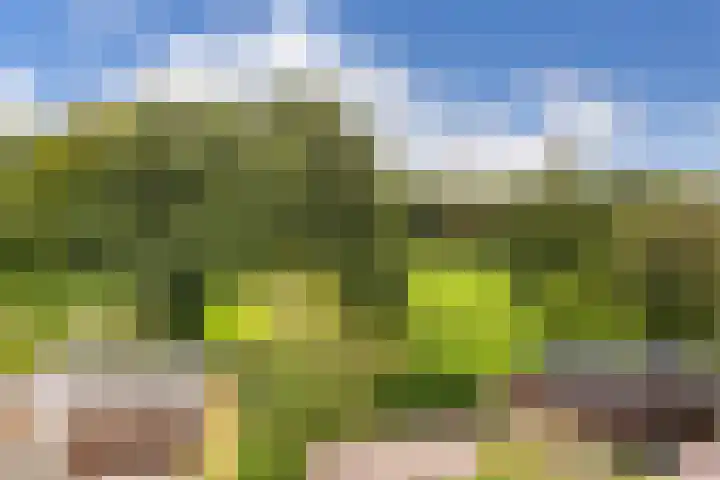 Drieskensacker 1054 Nijmegen thumbnail 27