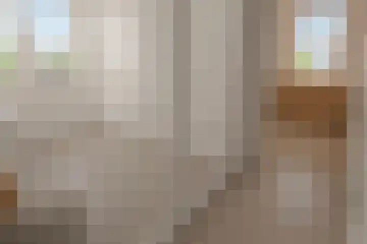 Driessenstraat 10 Joure thumbnail 29