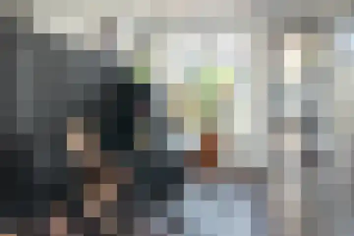 Driessenstraat 10 Joure thumbnail 9