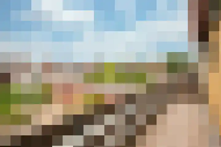 Driessenstraat 12 Landgraaf thumbnail 11