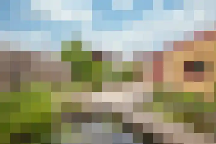 Driessenstraat 12 Landgraaf thumbnail 18