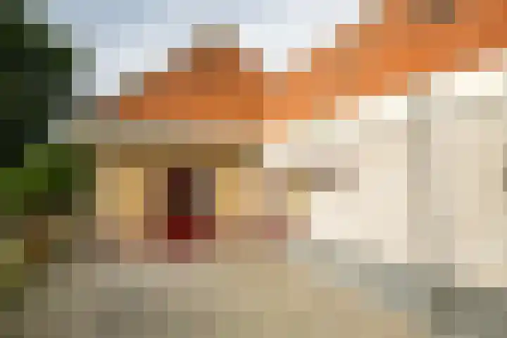 Driestedenweg 54 De Weere thumbnail 58