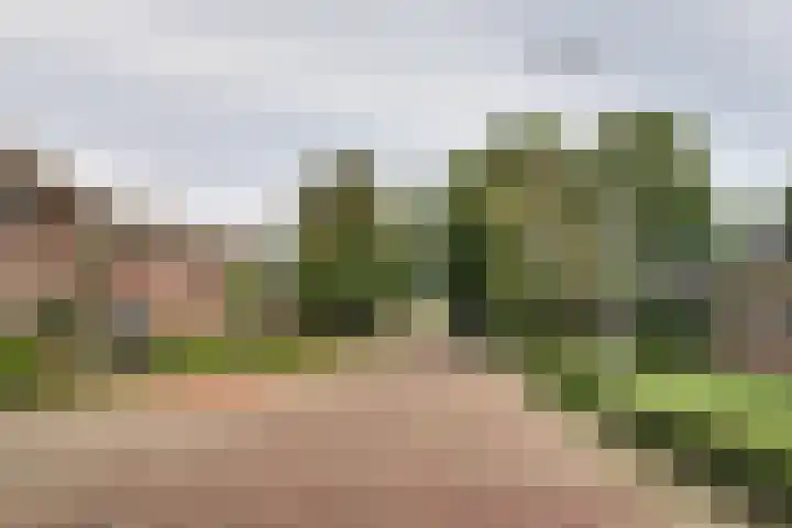 Driestedenweg 54 De Weere thumbnail 62