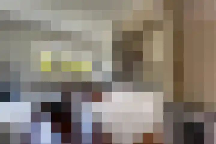 Drievogelstraat 115 Kerkrade thumbnail 9