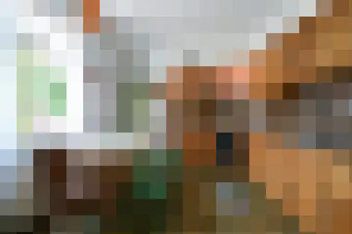 Drievogelstraat 83 Kerkrade thumbnail 6