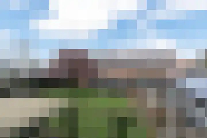 Driezeeg 25 Berlicum thumbnail 10