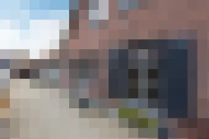 Driezeeg 25 Berlicum thumbnail 14