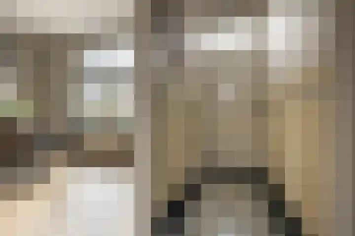 Driezeeg 25 Berlicum thumbnail 16