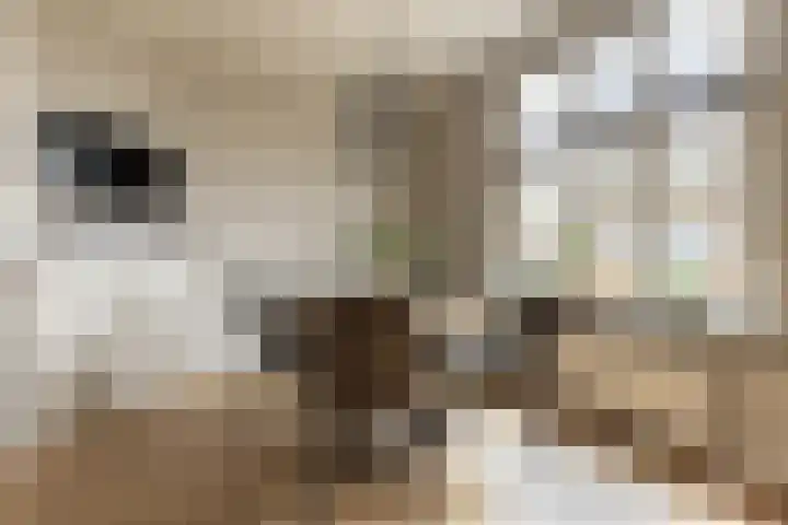 Driezeeg 25 Berlicum thumbnail 17