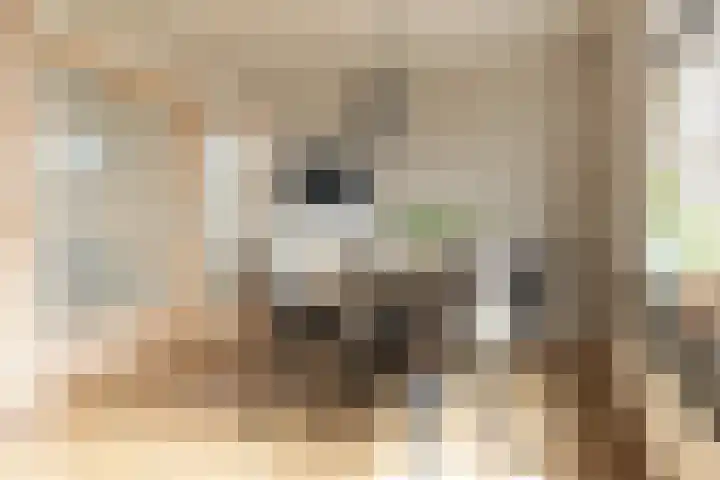 Driezeeg 25 Berlicum thumbnail 18