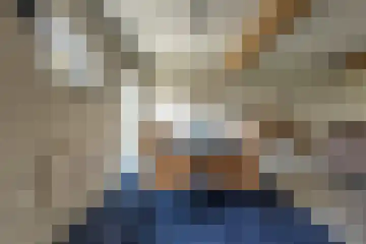Driezeeg 25 Berlicum thumbnail 28