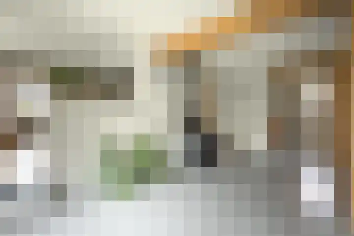 Driezeeg 25 Berlicum foto 3