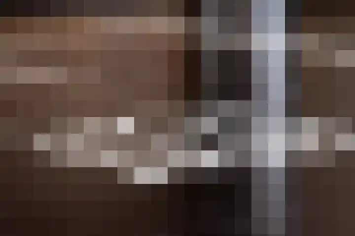 Driezeeg 25 Berlicum thumbnail 34