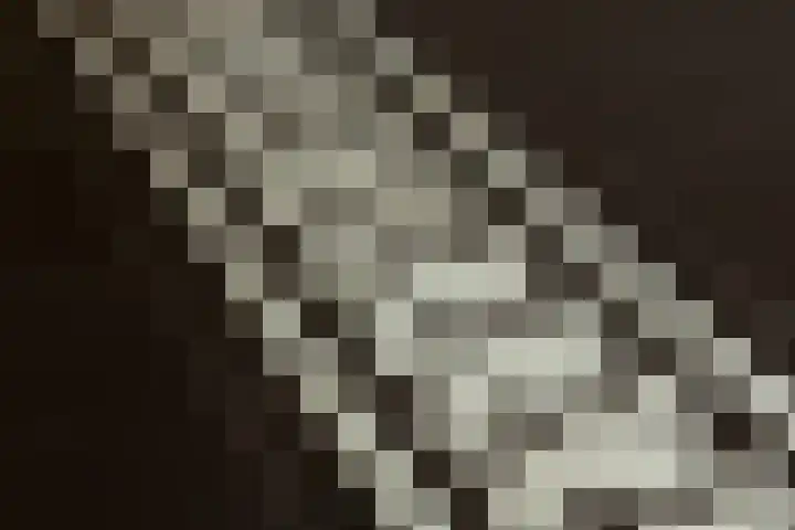 Driezeeg 25 Berlicum thumbnail 35