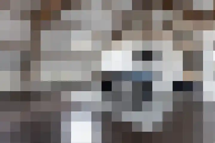 Driezeeg 25 Berlicum thumbnail 37