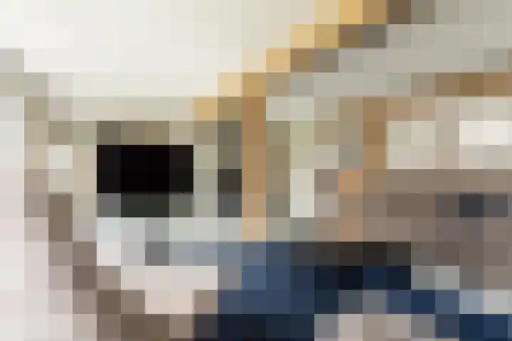 Driezeeg 25 Berlicum thumbnail 4