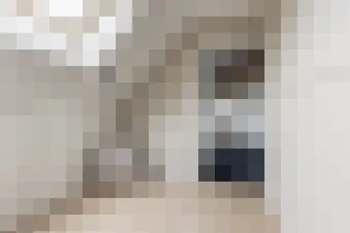 Driezeeg 25 Berlicum thumbnail 41