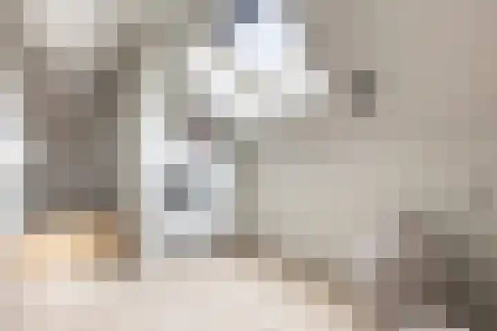 Driezeeg 25 Berlicum thumbnail 42